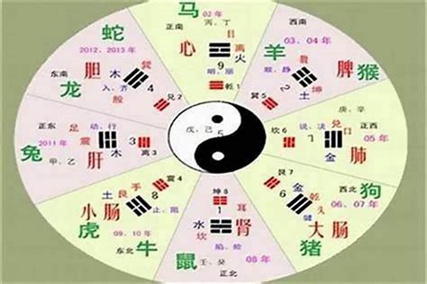 婉五行|婉字的五行属性是什么